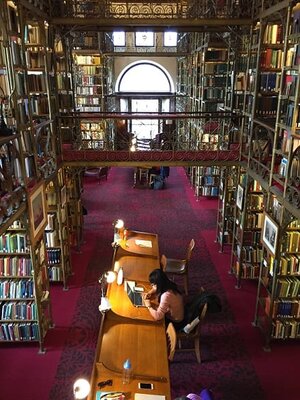 New fixtures in the A. D. White Library